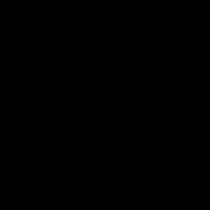 Meet your Posher, Ramiro